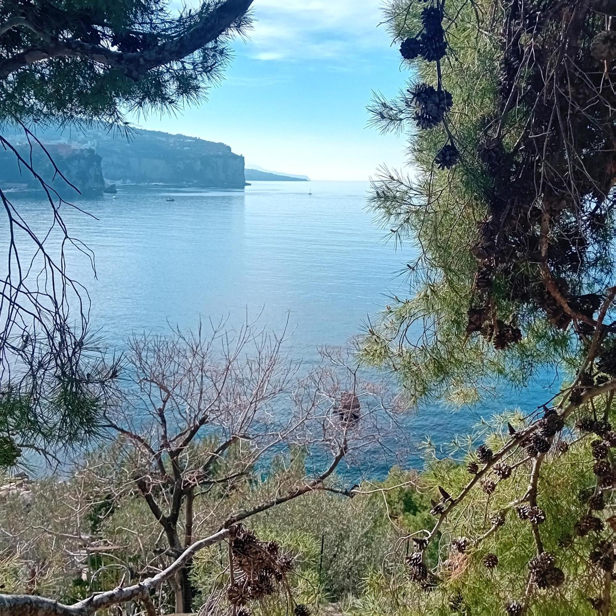 Villa La Galetta 비코에쿠엔세 외부 사진