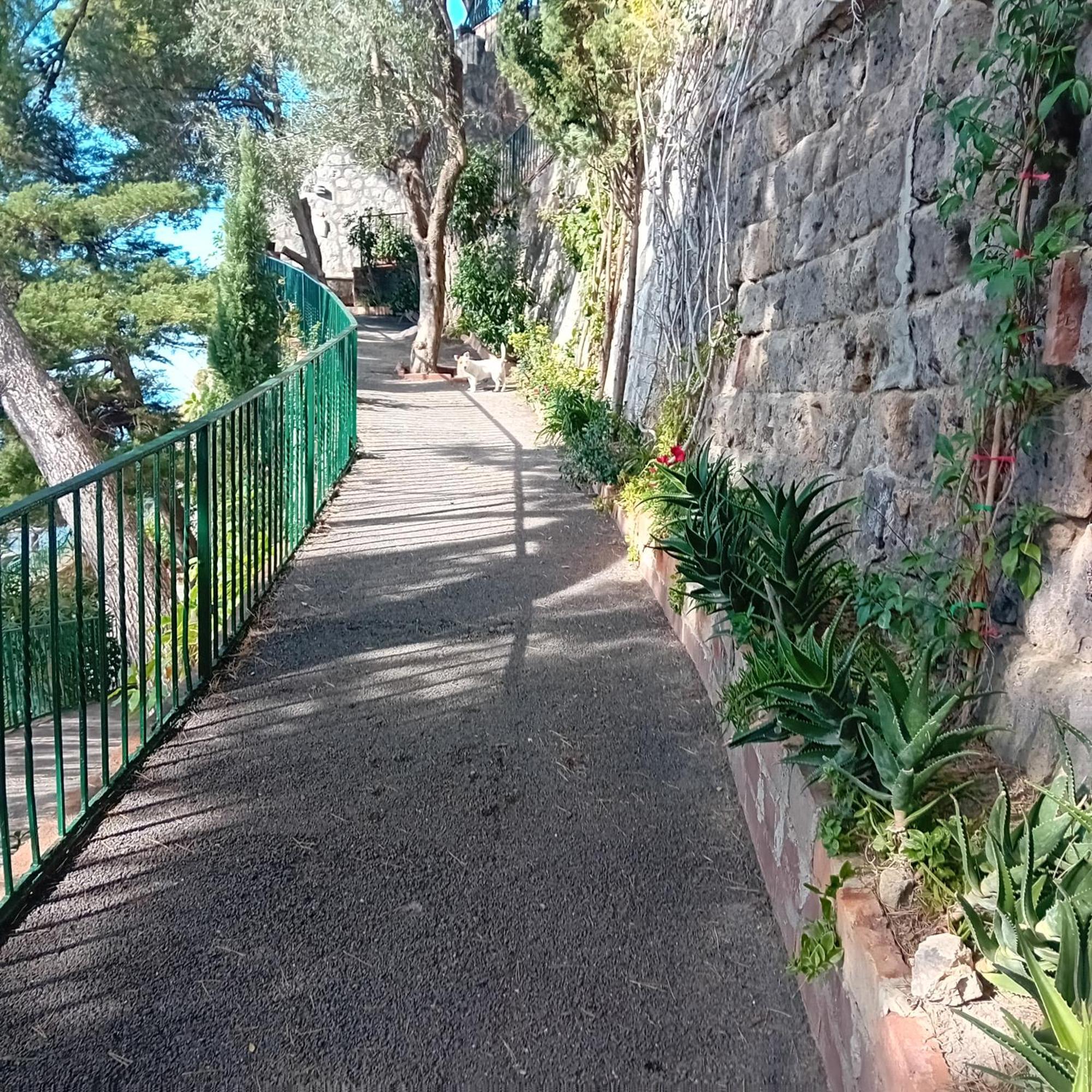 Villa La Galetta 비코에쿠엔세 외부 사진